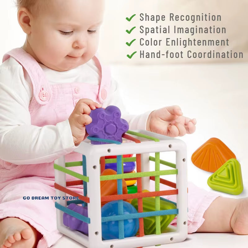 Colorful Shape Blocks Sorting Game Baby Montessori Learning Educational Toys for Children Bebe Birth 0 12 Months Gift Juguetes