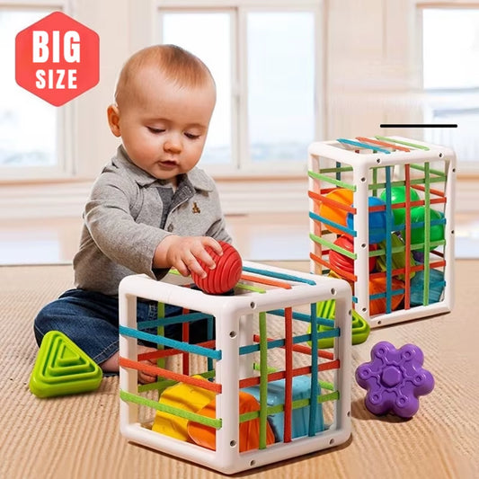 Colorful Shape Blocks Sorting Game Baby Montessori Learning Educational Toys for Children Bebe Birth 0 12 Months Gift Juguetes